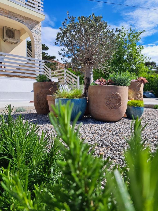 Vila Aria - Health & Wellness App Novi Vinodolski Exterior photo